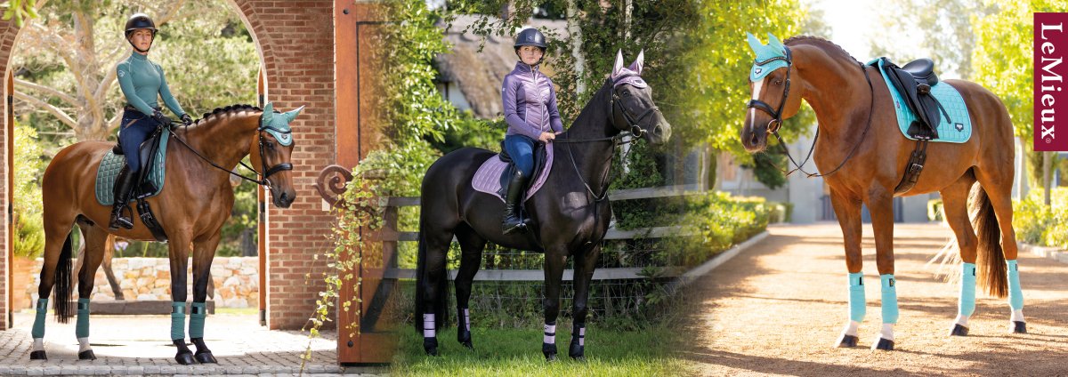 Horse Square - Grossist, Der Forhandler Rideudstyr Til Både Hest Og Rytter.